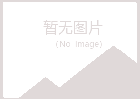 黄山迷茫会计有限公司